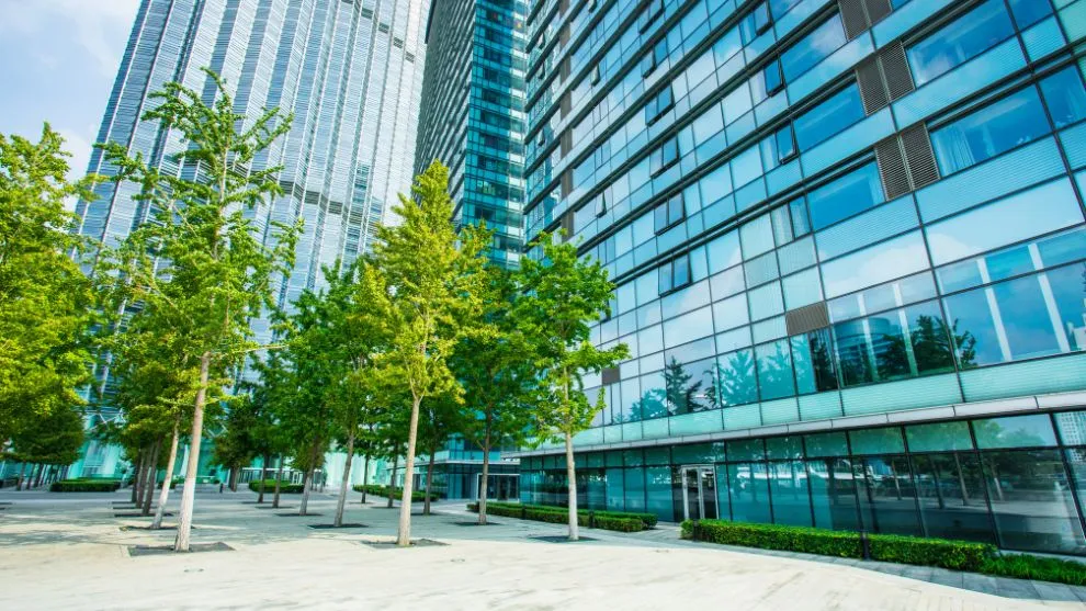 high rise glass buildings with trees in foreground.jpg