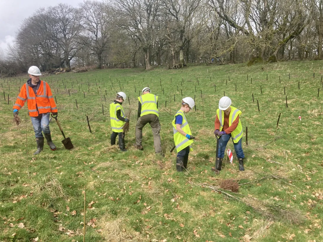 Young volunteers are shown how to plant trees at a community planting day at HIllhead Quarry near Exeter