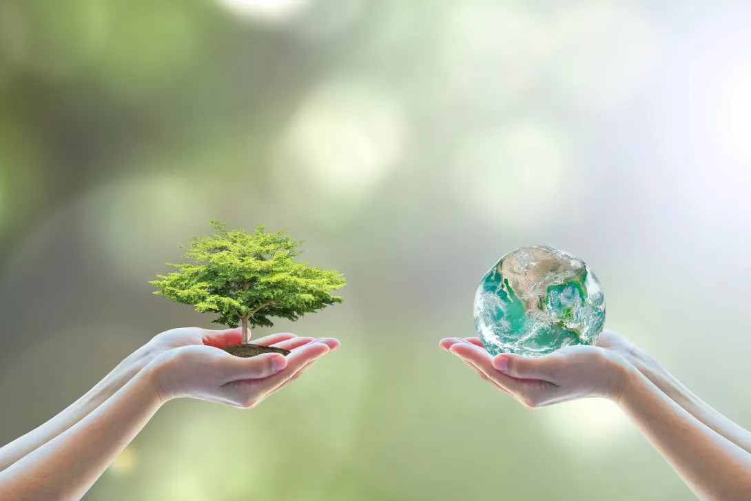 Tree and earth in hands